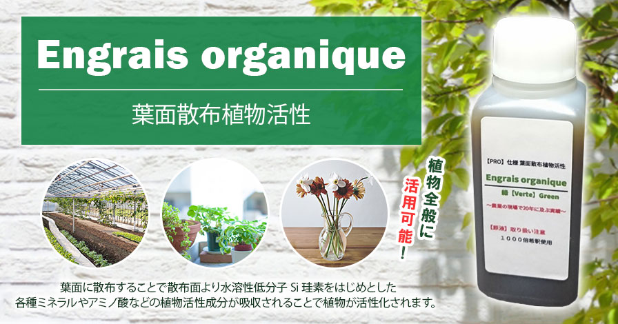 【葉面散布植物活性】(原液100ml)Engrais organique