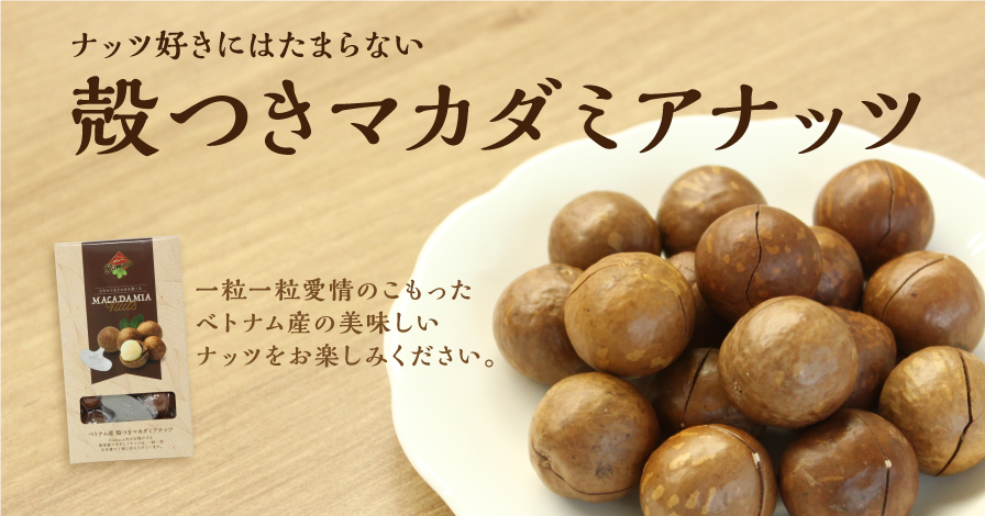 【OLTY】殻つきマカダミアナッツ