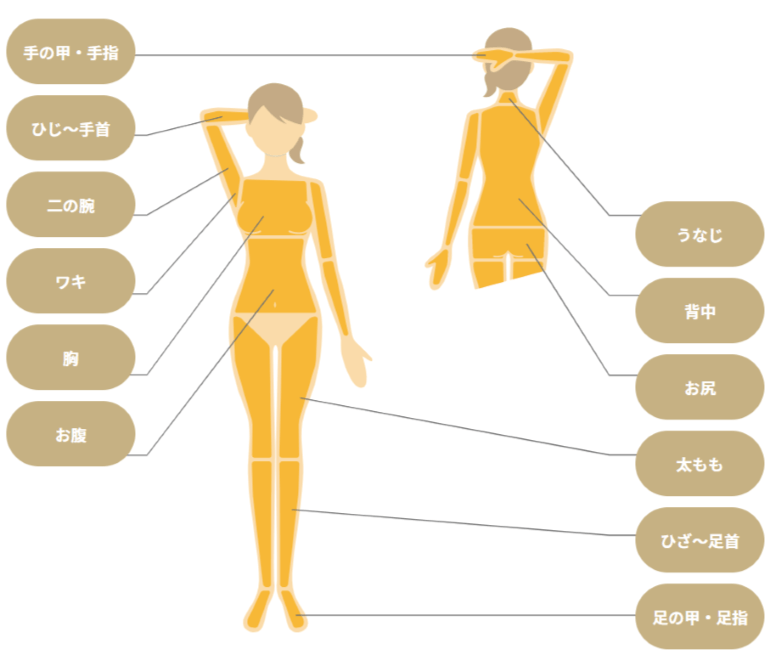 リゼクリニック 医療脱毛クリニック「脱毛範囲」紹介画像
