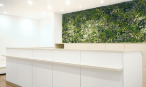 ルシアクリニック 千葉船橋院 院内の様子 紹介画像