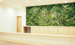 ルシアクリニック 福岡天神院 院内の様子 紹介画像