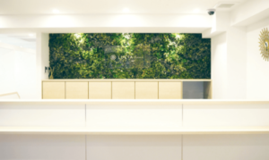 ルシアクリニック 川崎院 院内の様子 紹介画像