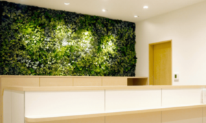 ルシアクリニック 神戸三宮院 院内の様子 紹介画像