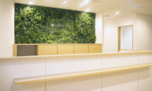 ルシアクリニック 京都駅前院 院内の様子 紹介画像
