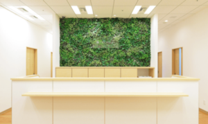 ルシアクリニック 大阪梅田院 院内の様子 紹介画像