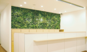 ルシアクリニック 心斎橋院 院内の様子 紹介画像