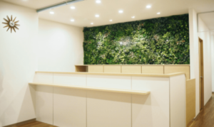 ルシアクリニック 横浜院 院内の様子 紹介画像