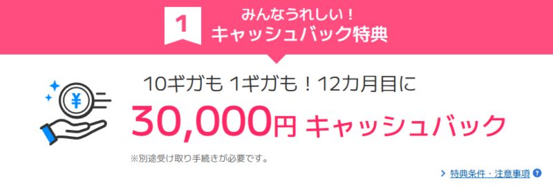 ビッグローブ光30,000円キャッシュバック特典