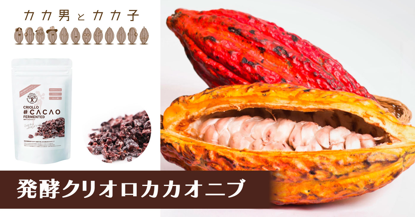 発酵クリオロカカオニブ