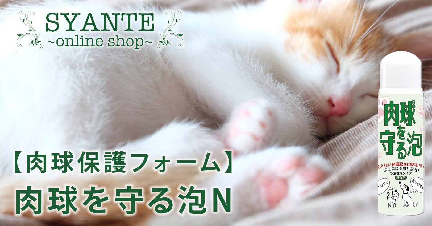 【肉球保護フォーム】肉球を守る泡N