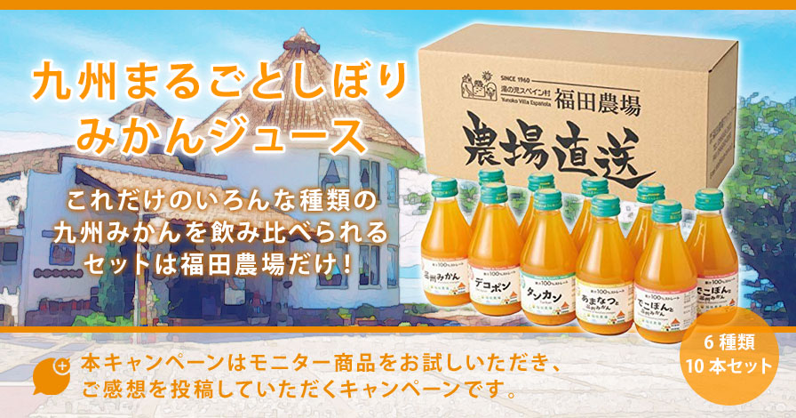 ジュース 九州まるごとしぼり みかんジュース6種類 10本セット(180ml)