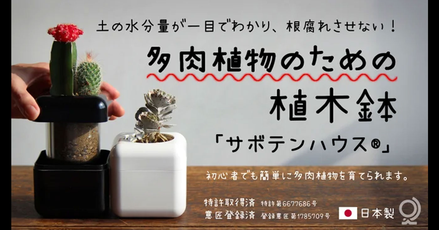 多肉植物専用の室内用植木鉢　サボテンハウス®