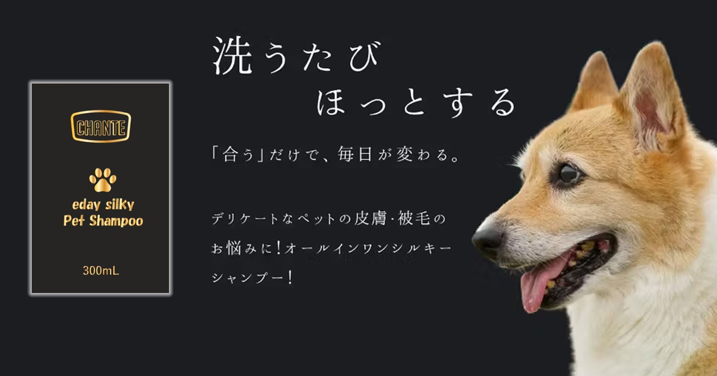 CHANTE eday silky shampoo【チャンテ イーデイシルキーシャンプー】