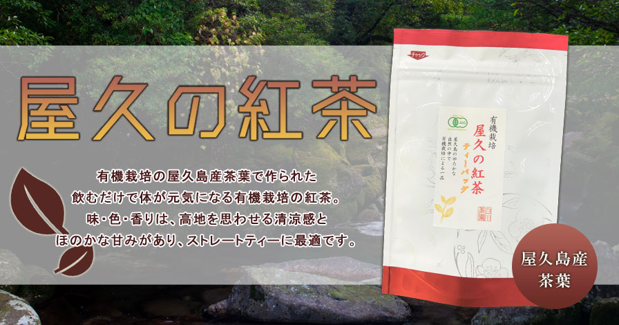 屋久の紅茶(2.5g×2袋)