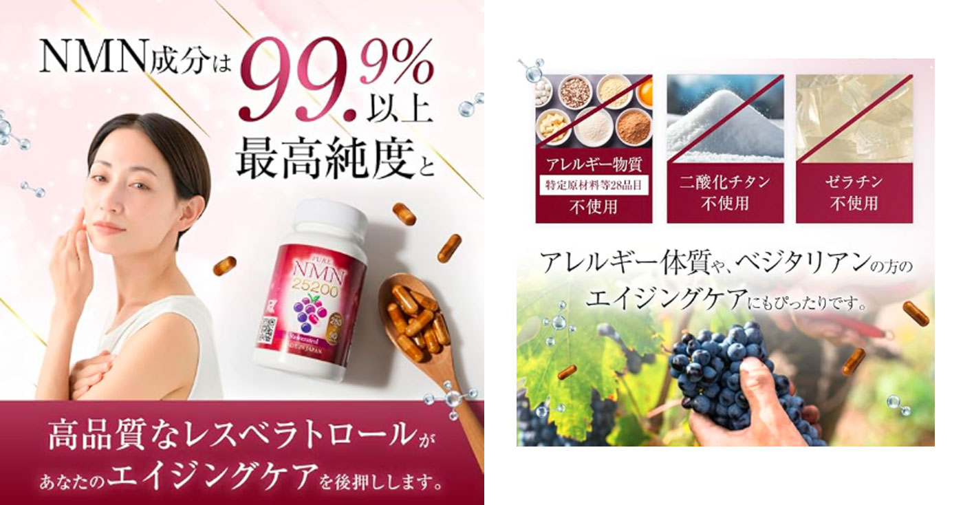 25 NMNサプリメント25200mg