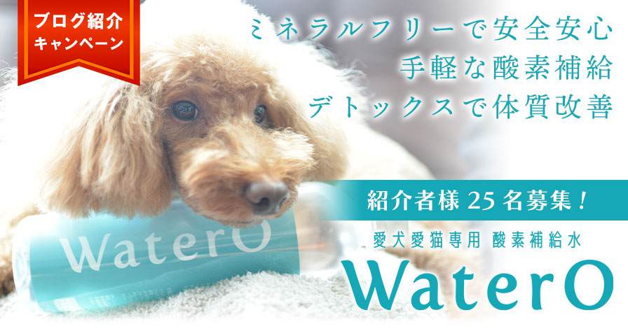 愛犬愛猫専用 酸素補給水 WaterO (ウォテロ)