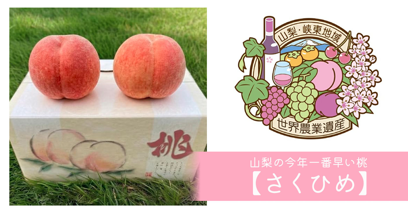 山梨の今年一番早い桃【さくひめ】