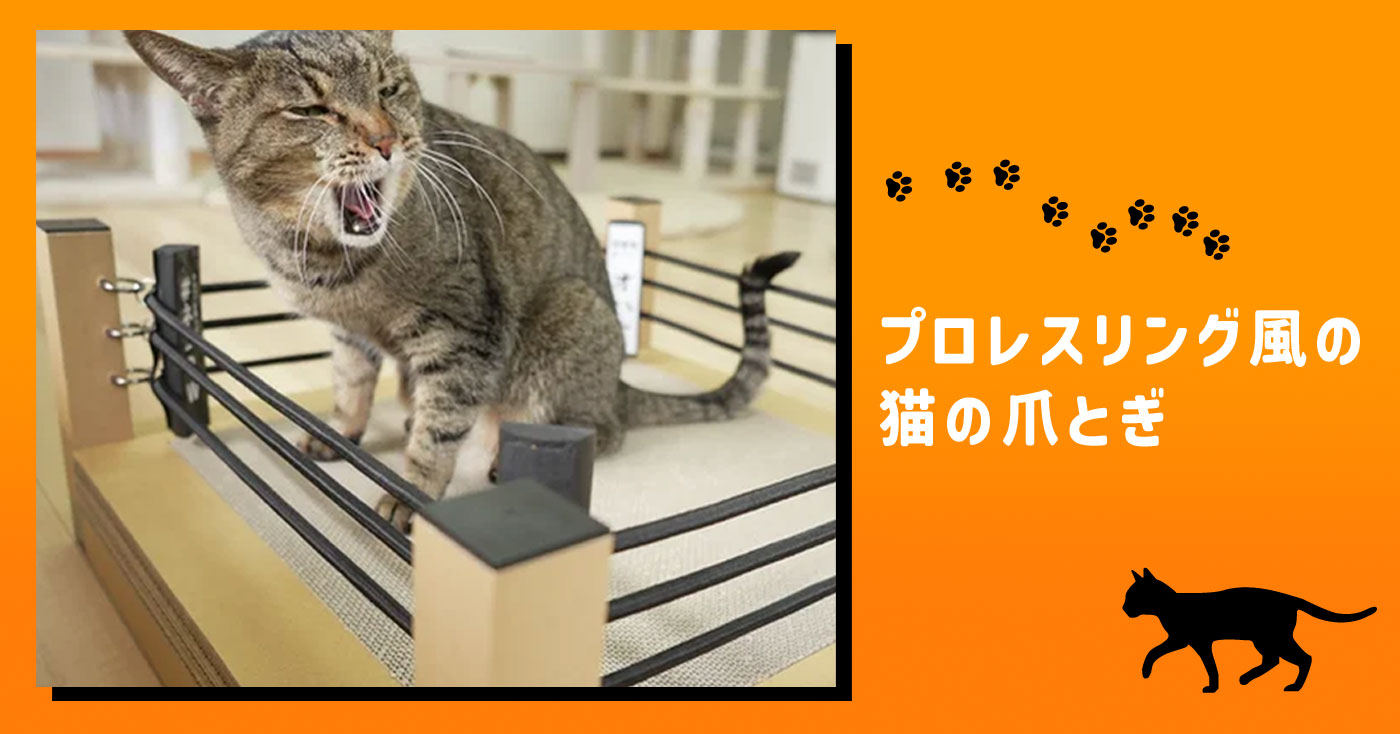 プロレスリング風の猫の爪とぎ