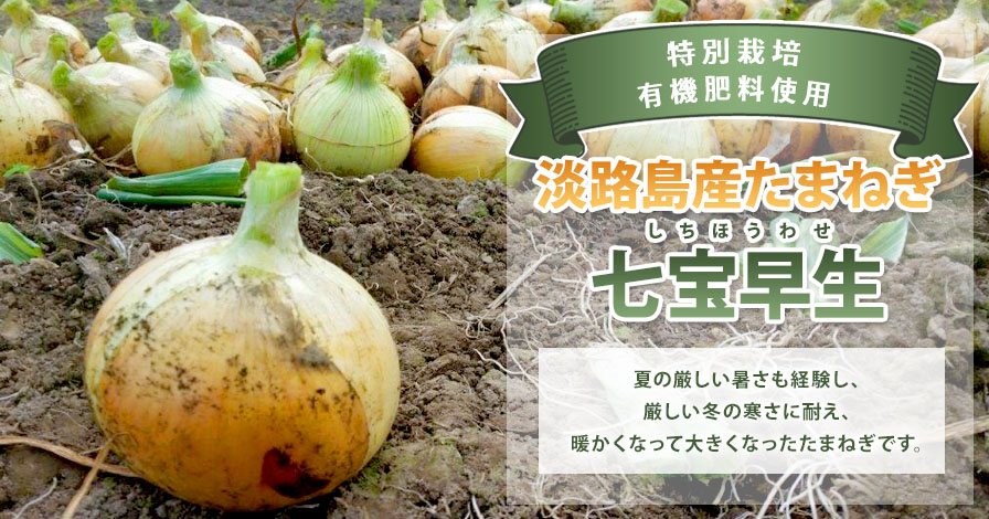 特別栽培・有機肥料使用・淡路島産たまねぎ(10㎏)七宝早生(しちほうわせ)