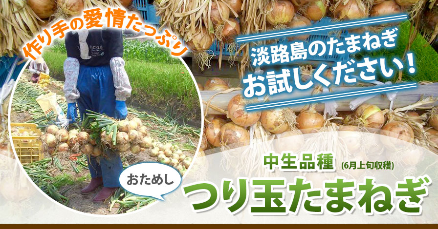 特別栽培・有機肥料使用・淡路島産たまねぎ　中生(なかて)品種・ターザン(約8kg)