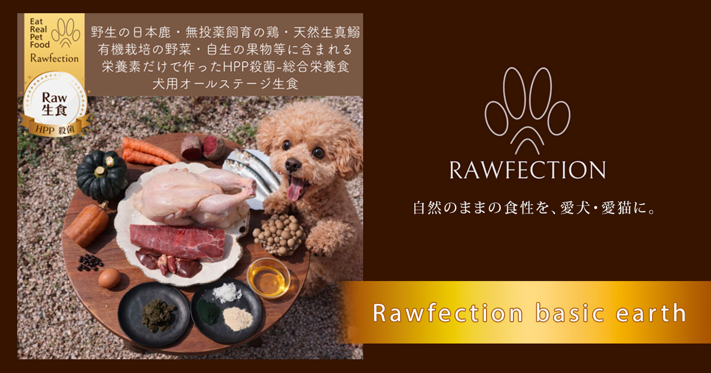 Rawfection basic earth