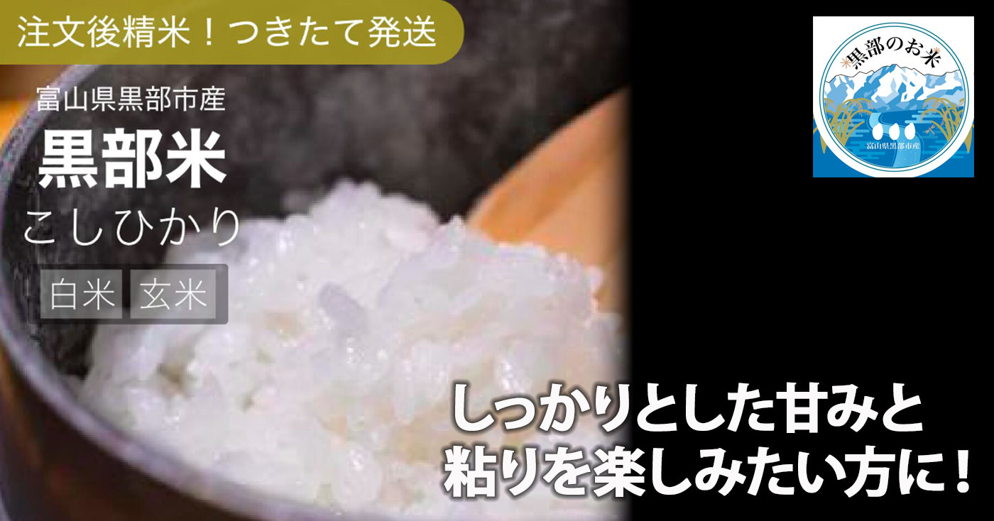 元気のさとだより 令和7年産 黒部のお米 こしひかり
