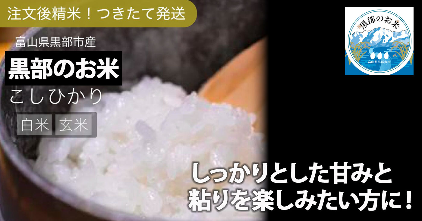 元気のさとだより 令和7年産 黒部のお米 こしひかり
