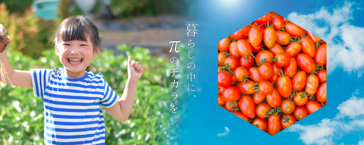 株式会社日本パイ技術総合研究所