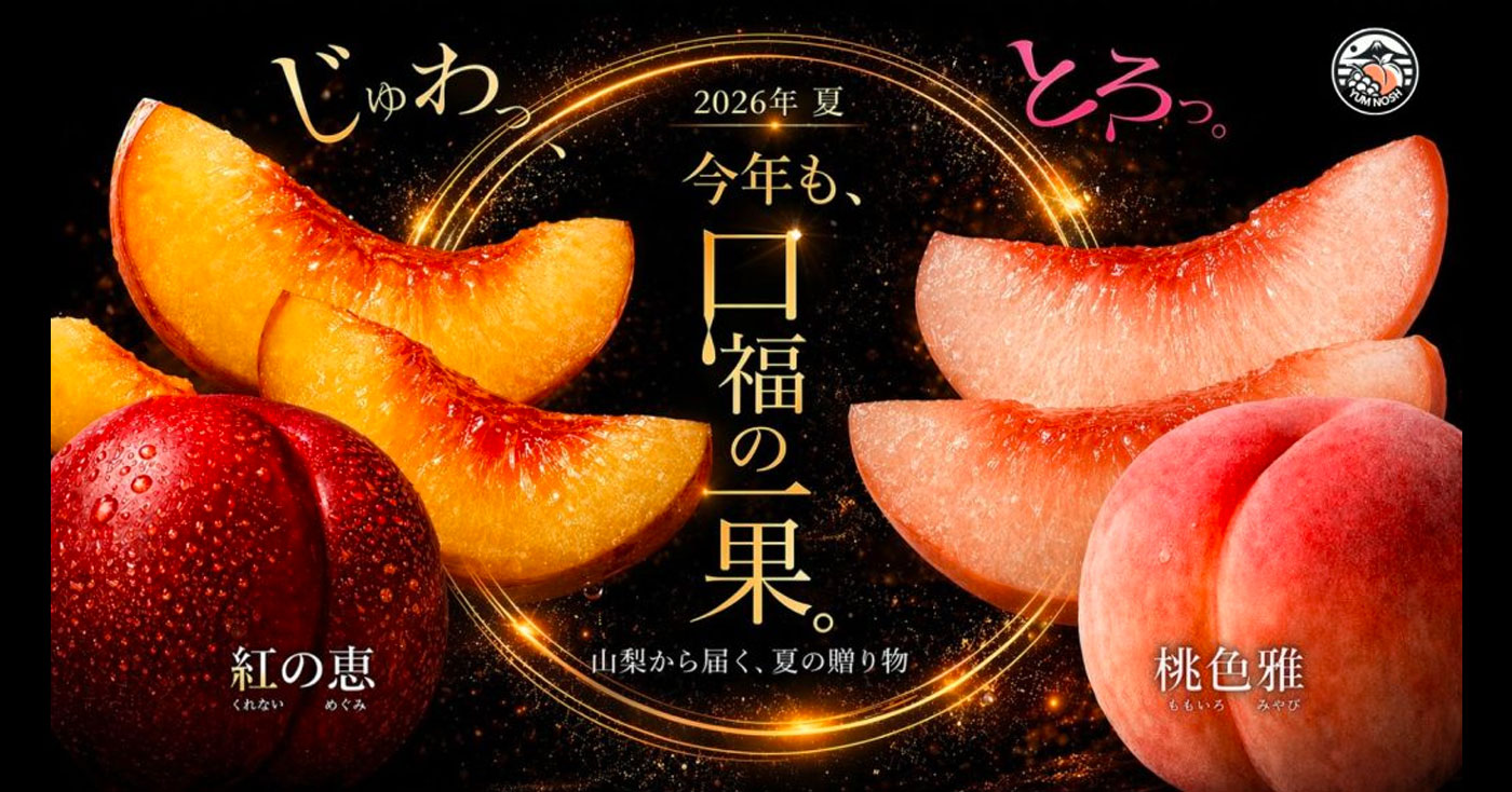 【山梨直送】糖度13度以上の特秀桃&幻のネクタリン
