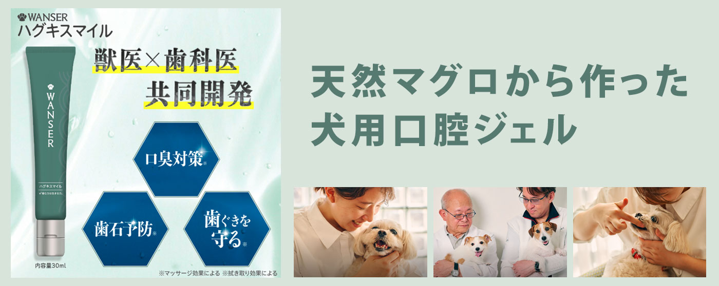 株式会社AOI