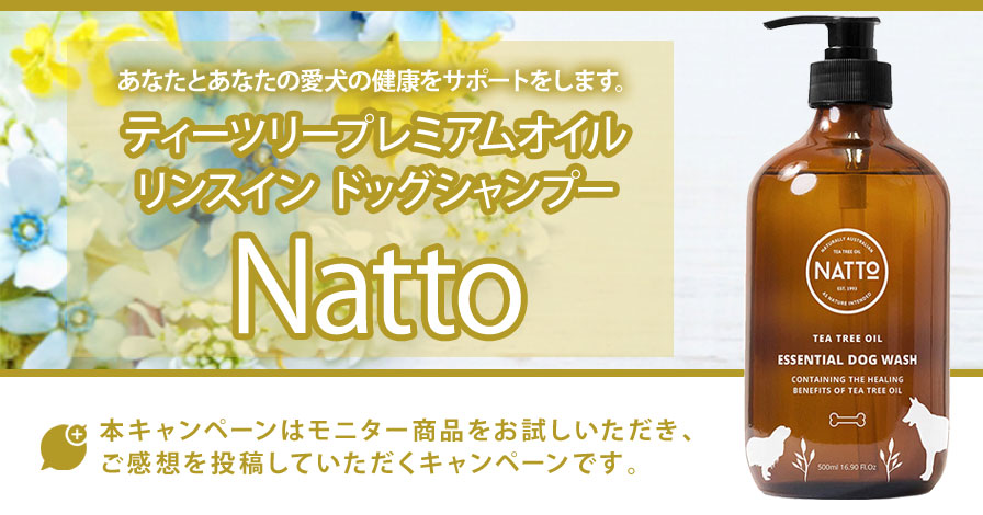 Natto ティーツリープレミアムオイル リンスイン ドッグシャンプー【ソープフリー&フレグランスフリー】