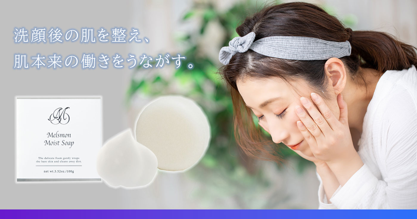 メルスモン モイストソープ