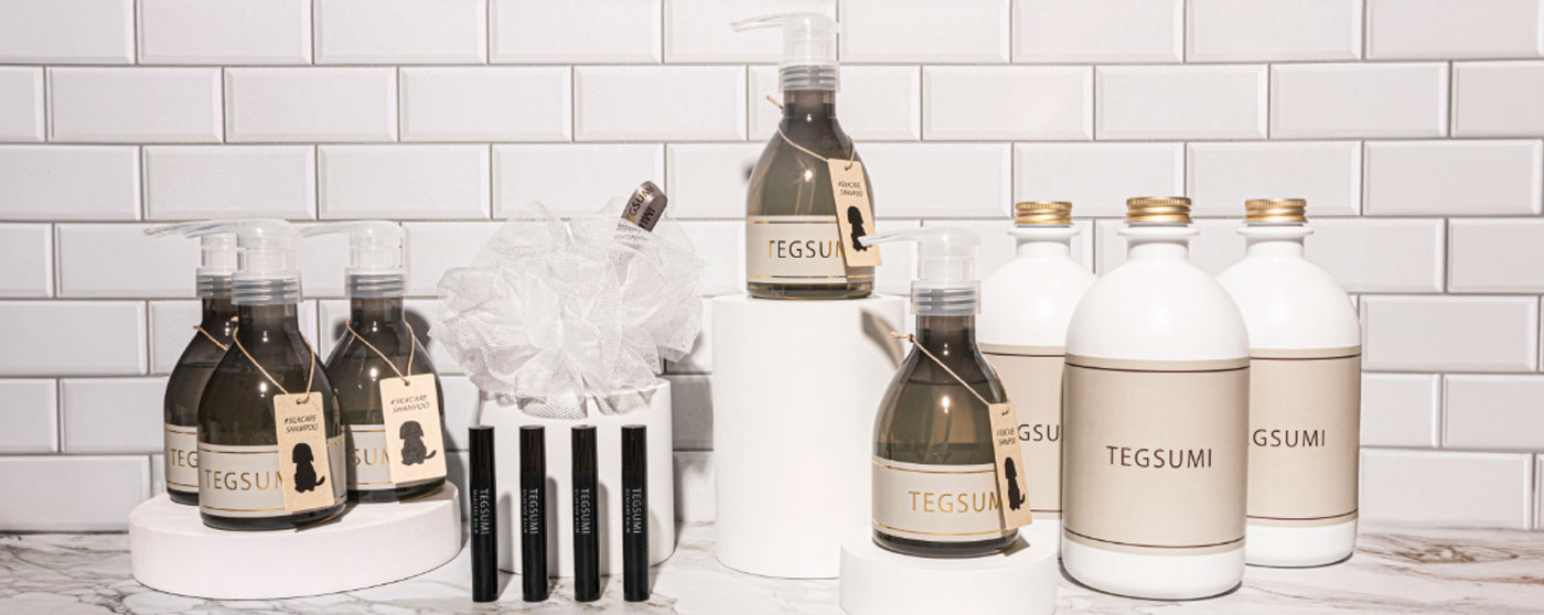 TEGSUMI