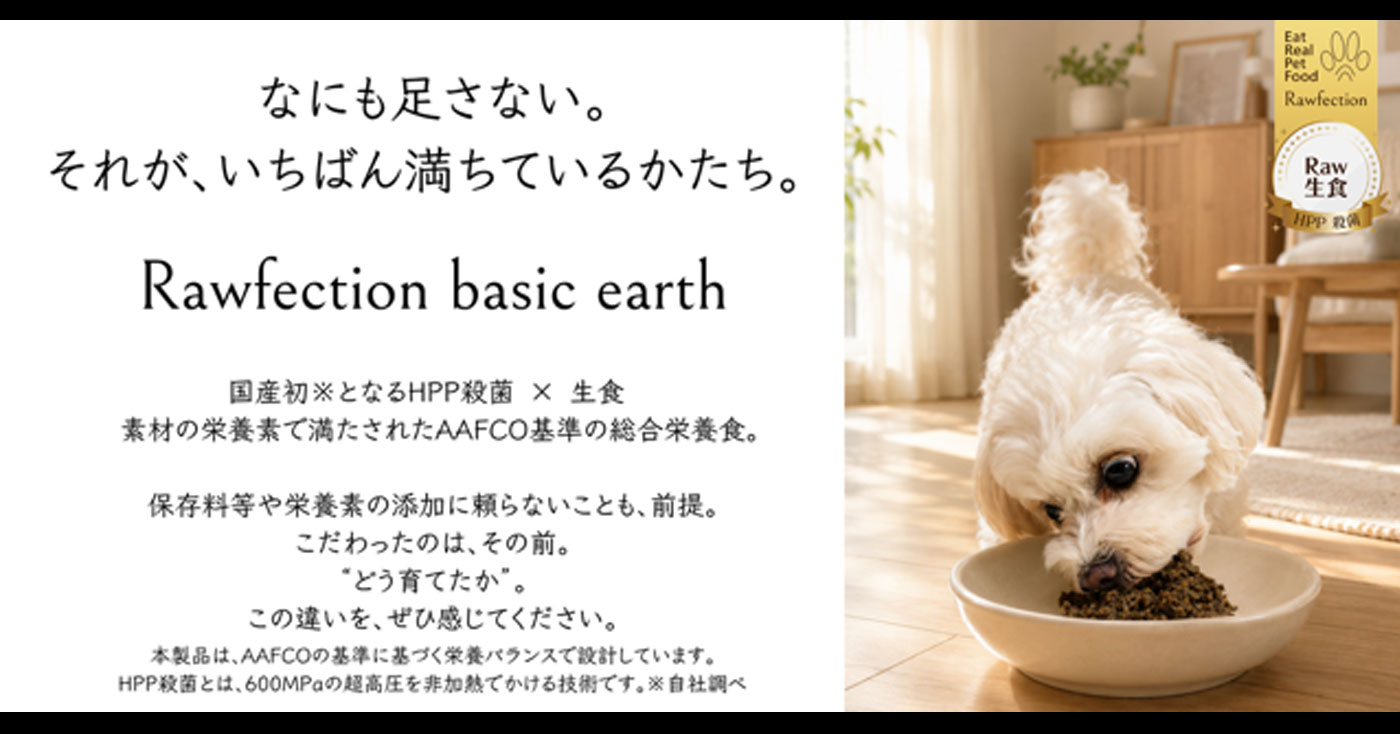 Rawfection basic earth