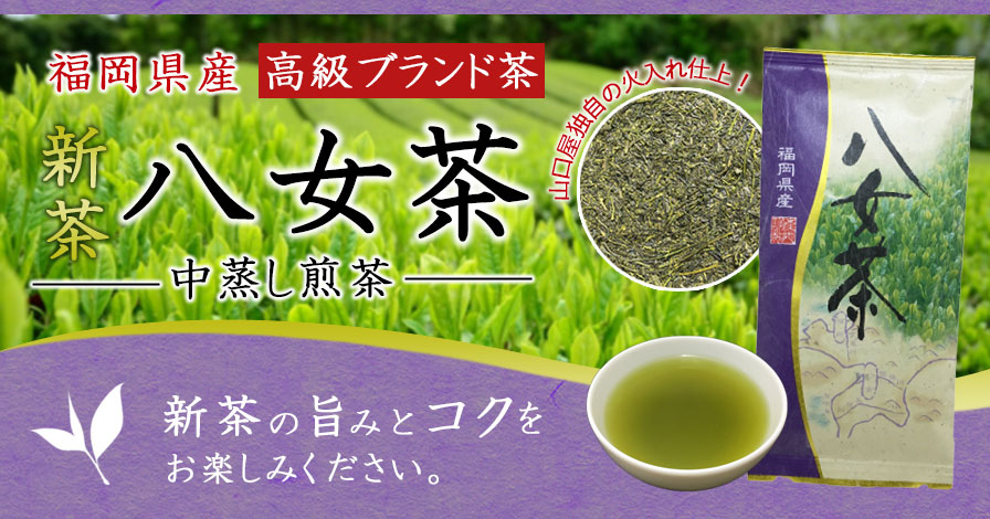 福岡県産 「新茶」八女茶
