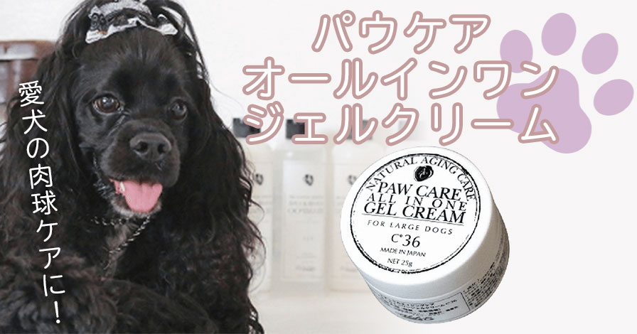 パウケアオールインワンジェルクリーム