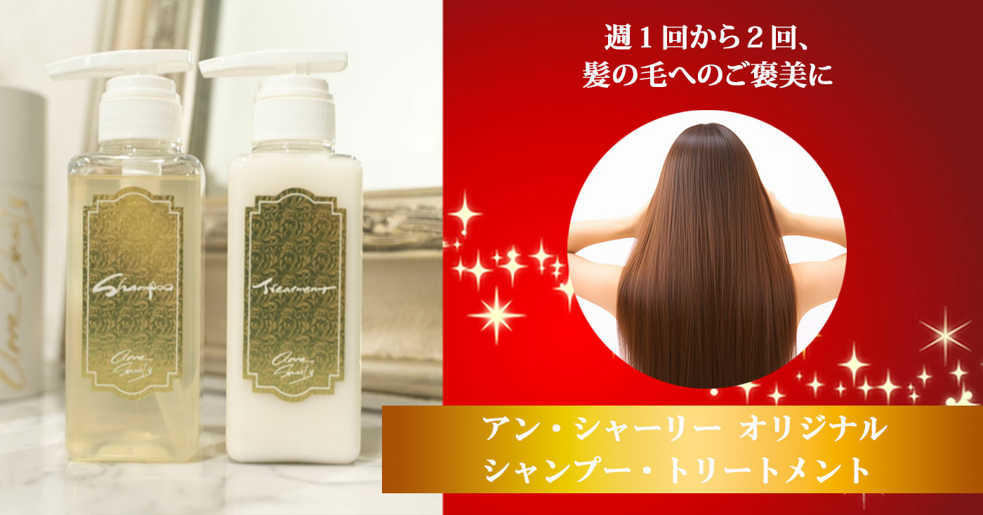 アン・シャーリー オリジナルシャンプー・トリートメント