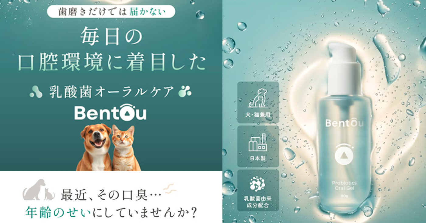Bentou(ペット用オーラルケア)