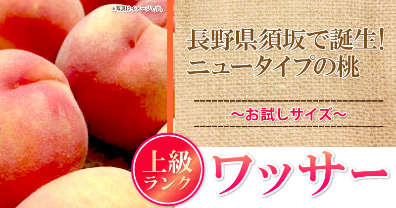 長野県北部の新種果物　信州限定サマーフルーツ　ワッサー