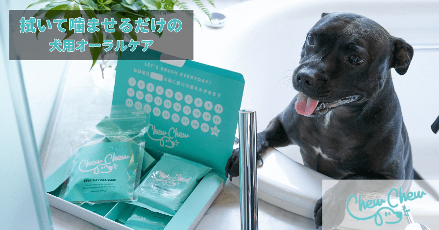 犬用オーラルケア ChewChew