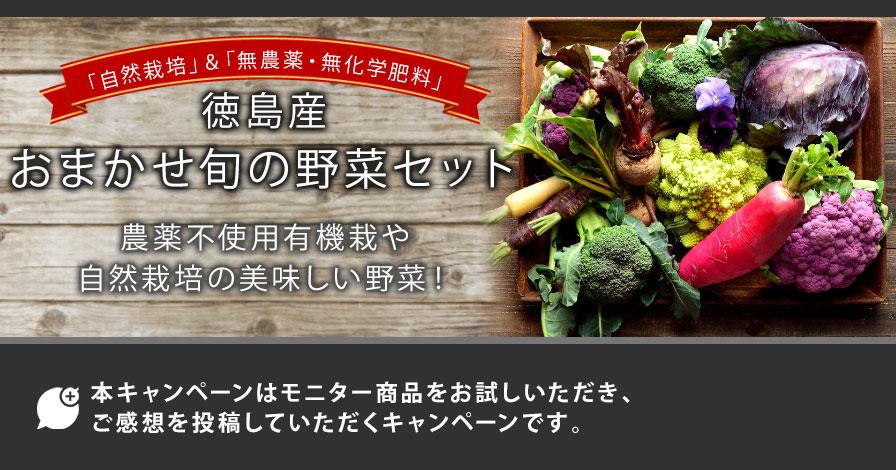 徳島産「自然栽培」&「無農薬・無化学肥料」おまかせ旬の野菜セット