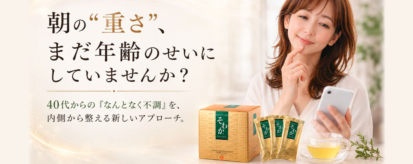 合同会社SFA