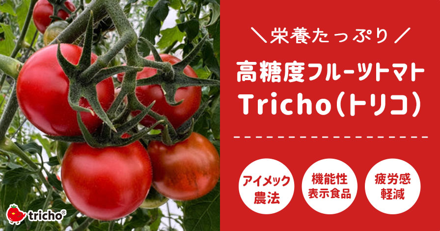 高糖度フルーツトマト Tricho(トリコ)