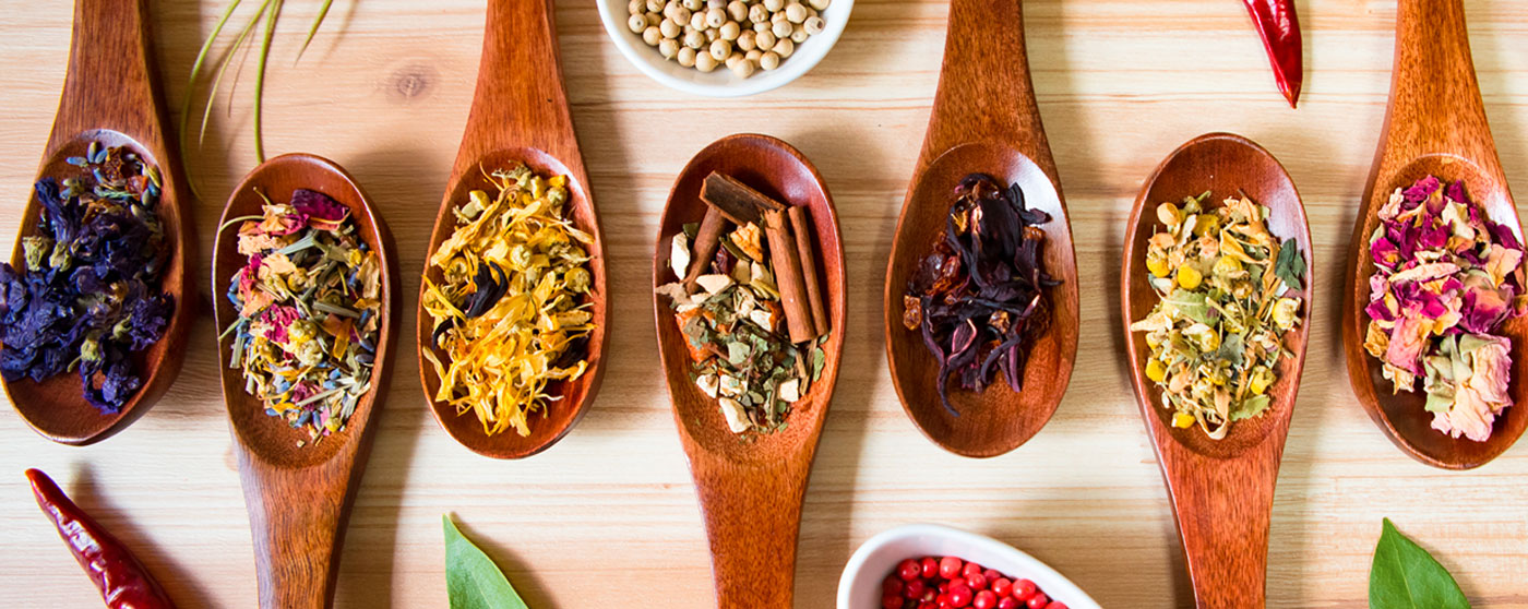 鎌倉てとら合同会社