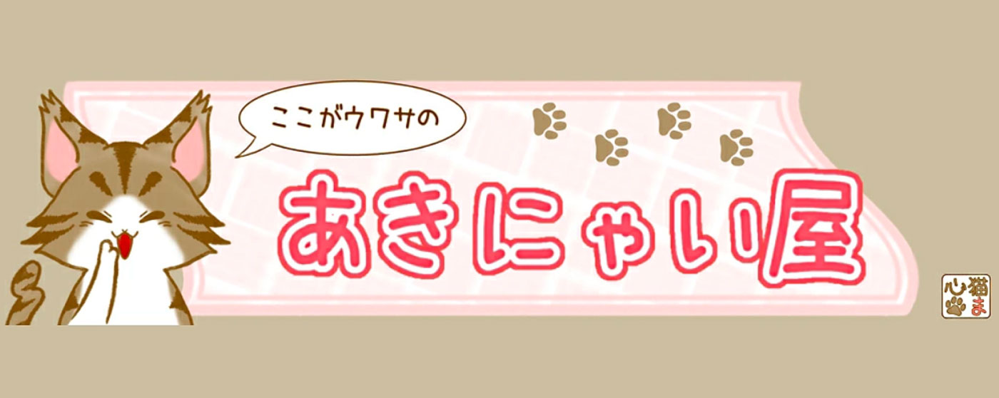 ここがウワサのあきにゃい屋