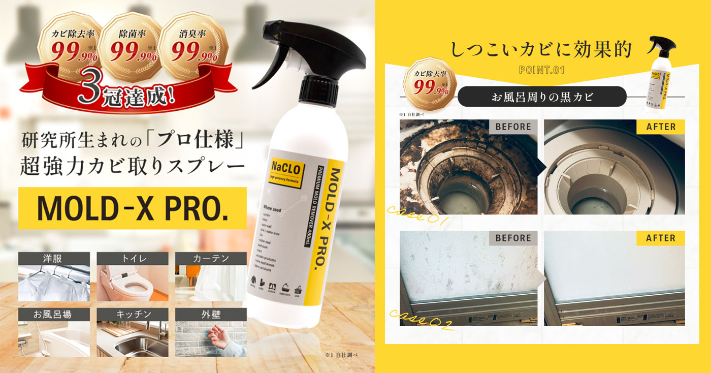 研究所生まれのプロ仕様!超強力 カビ取りスプレー「MOLD-X」