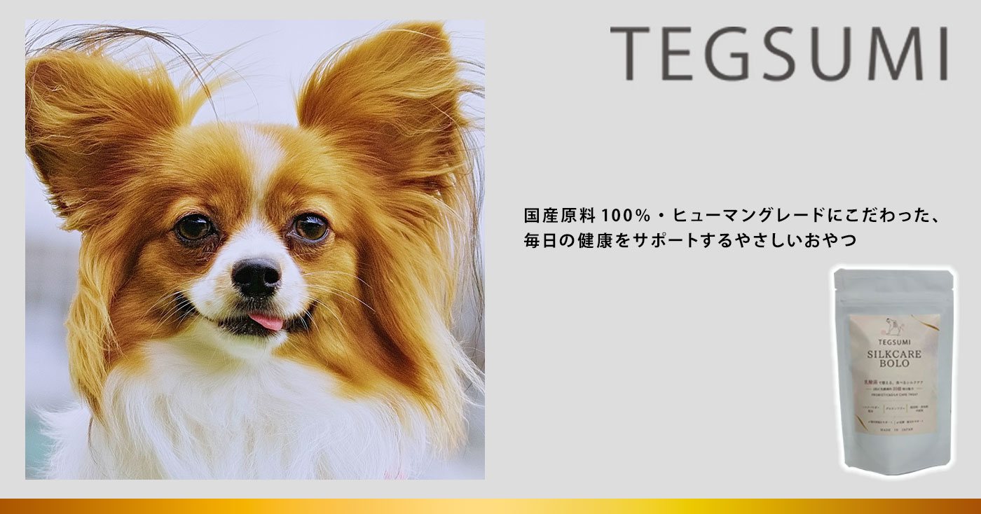 TEGSUMI シルクボーロ