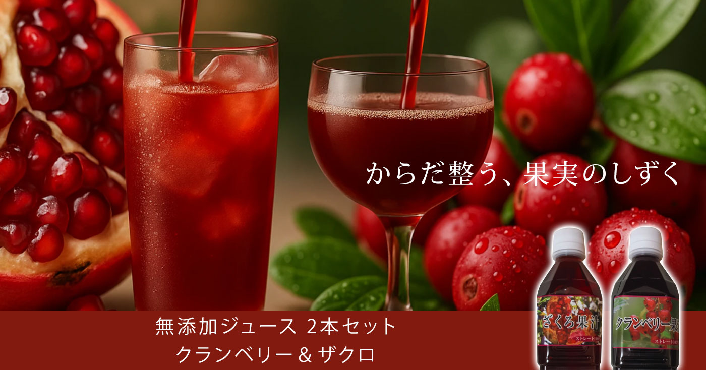 無添加ジュース 2本セット