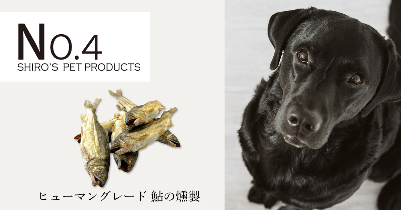 ヒューマングレード 鮎の燻製