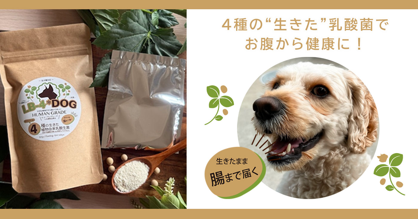 犬用植物由来乳酸菌『LB-4*DOG』7g入り